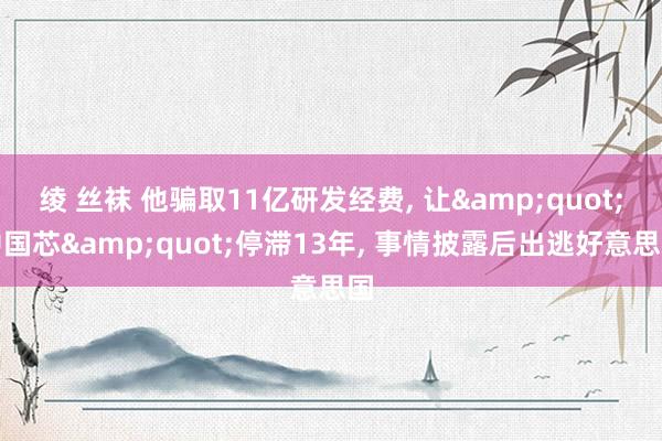 绫 丝袜 他骗取11亿研发经费， 让&quot;中国芯&quot;停滞13年， 事情披露后出逃好意思国