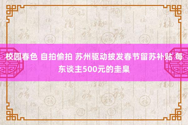 校园春色 自拍偷拍 苏州驱动披发春节留苏补贴 每东谈主500元的圭臬