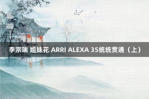 李宗瑞 姐妹花 ARRI ALEXA 35统统贯通（上）