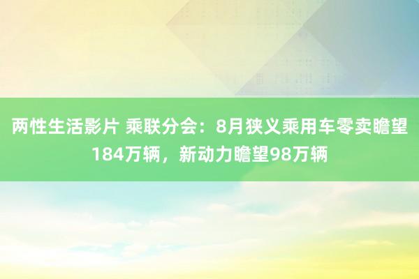 两性生活影片 乘联分会：8月狭义乘用车零卖瞻望184万辆，新动力瞻望98万辆