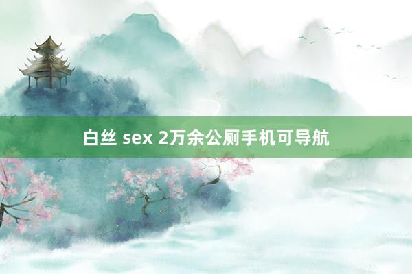 白丝 sex 2万余公厕手机可导航