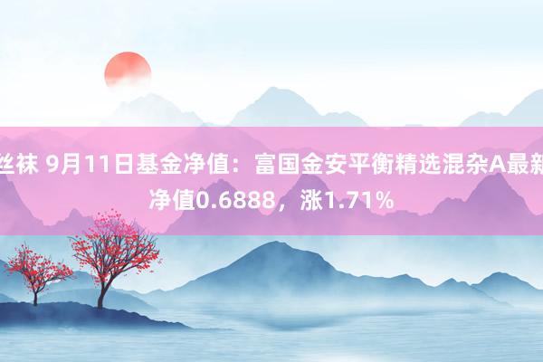 丝袜 9月11日基金净值：富国金安平衡精选混杂A最新净值0.6888，涨1.71%