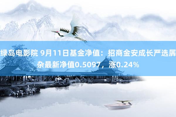 绿岛电影院 9月11日基金净值：招商金安成长严选羼杂最新净值0.5097，涨0.24%