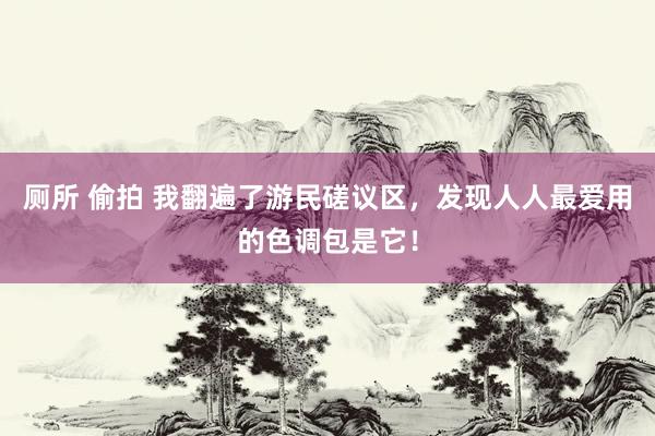 厕所 偷拍 我翻遍了游民磋议区，发现人人最爱用的色调包是它！