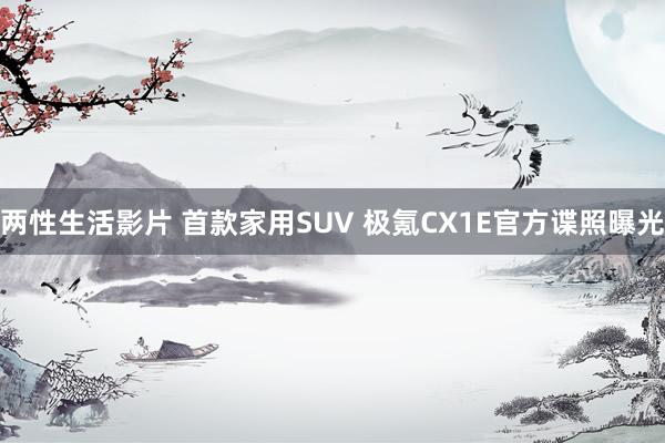 两性生活影片 首款家用SUV 极氪CX1E官方谍照曝光