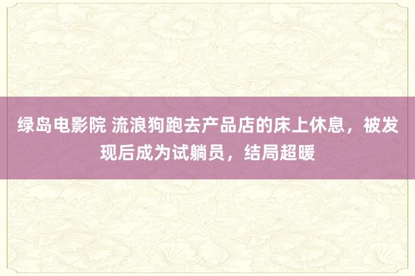 绿岛电影院 流浪狗跑去产品店的床上休息，被发现后成为试躺员，结局超暖