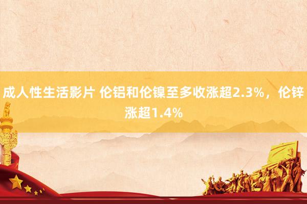 成人性生活影片 伦铝和伦镍至多收涨超2.3%，伦锌涨超1.4%