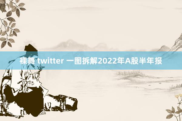 裸舞 twitter 一图拆解2022年A股半年报