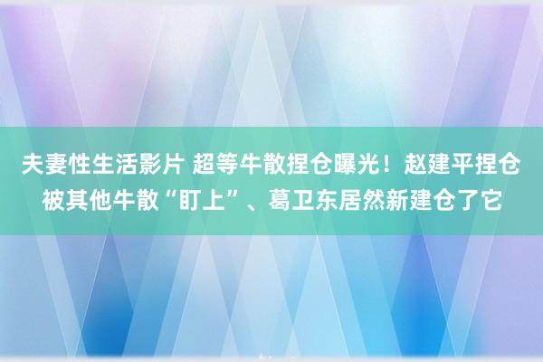 夫妻性生活影片 超等牛散捏仓曝光！赵建平捏仓被其他牛散“盯上”、葛卫东居然新建仓了它