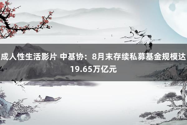 成人性生活影片 中基协：8月末存续私募基金规模达19.65万亿元