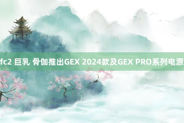 fc2 巨乳 骨伽推出GEX 2024款及GEX PRO系列电源