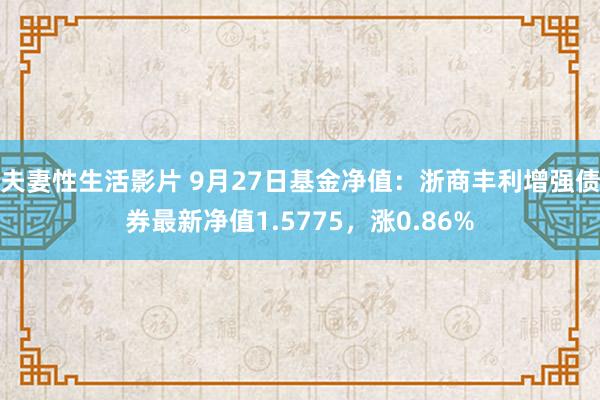 夫妻性生活影片 9月27日基金净值：浙商丰利增强债券最新净值1.5775，涨0.86%