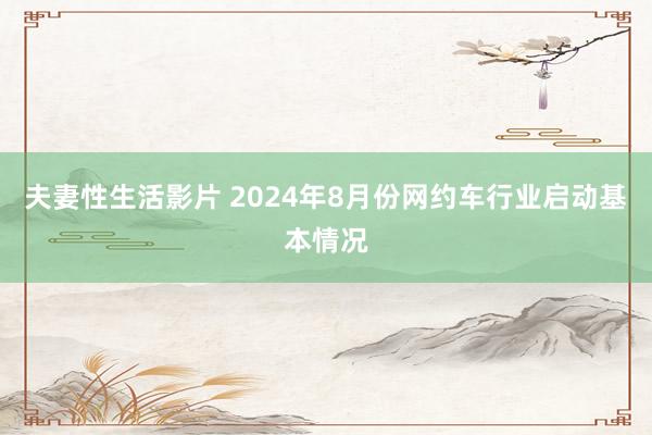 夫妻性生活影片 2024年8月份网约车行业启动基本情况