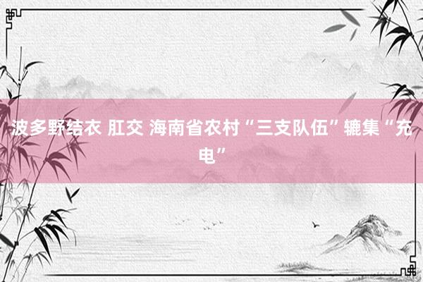 波多野结衣 肛交 海南省农村“三支队伍”辘集“充电”