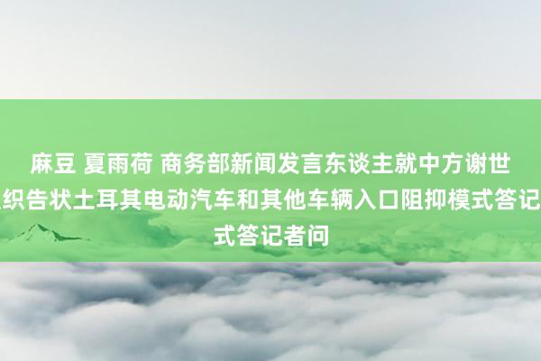 麻豆 夏雨荷 商务部新闻发言东谈主就中方谢世贸组织告状土耳其电动汽车和其他车辆入口阻抑模式答记者问