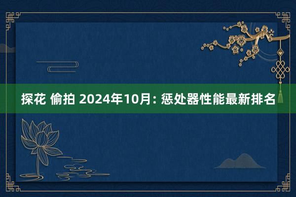 探花 偷拍 2024年10月: 惩处器性能最新排名