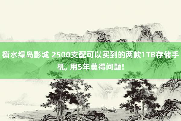 衡水绿岛影城 2500支配可以买到的两款1TB存储手机， 用5年莫得问题!