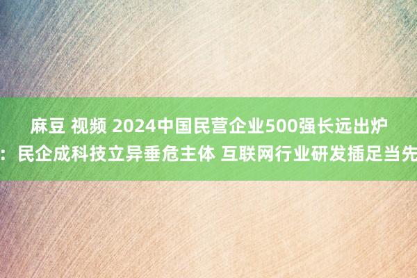 麻豆 视频 2024中国民营企业500强长远出炉：民企成科技立异垂危主体 互联网行业研发插足当先