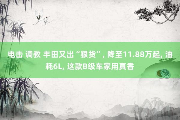 电击 调教 丰田又出“狠货”， 降至11.88万起， 油耗6L， 这款B级车家用真香