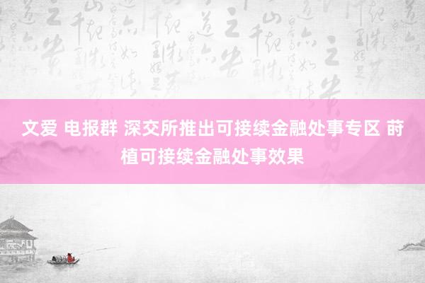 文爱 电报群 深交所推出可接续金融处事专区 莳植可接续金融处事效果