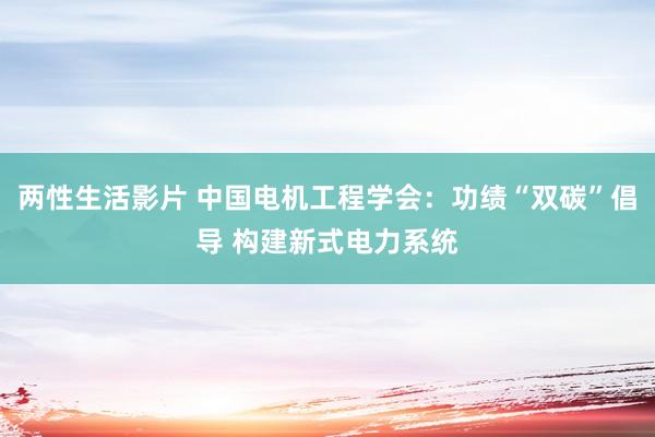 两性生活影片 中国电机工程学会：功绩“双碳”倡导 构建新式电力系统