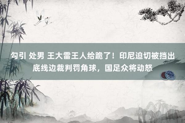 勾引 处男 王大雷王人给跪了！印尼迫切被挡出底线边裁判罚角球，国足众将动怒