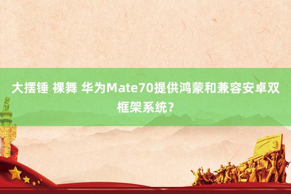 大摆锤 裸舞 华为Mate70提供鸿蒙和兼容安卓双框架系统？