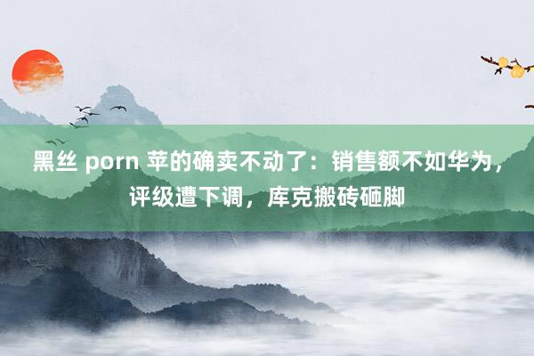 黑丝 porn 苹的确卖不动了：销售额不如华为，评级遭下调，库克搬砖砸脚