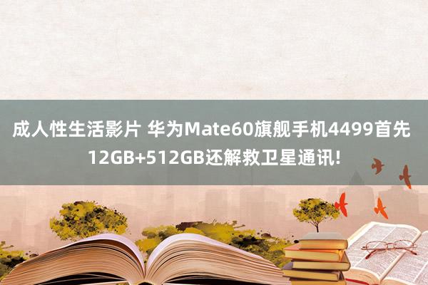 成人性生活影片 华为Mate60旗舰手机4499首先 12GB+512GB还解救卫星通讯!