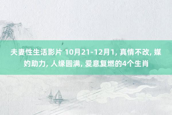 夫妻性生活影片 10月21-12月1， 真情不改， 媒妁助力， 人缘圆满， 爱意复燃的4个生肖