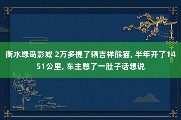 衡水绿岛影城 2万多提了辆吉祥熊猫， 半年开了1451公里， 车主憋了一肚子话想说