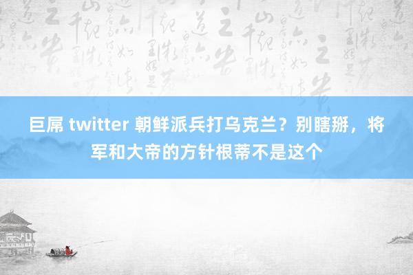 巨屌 twitter 朝鲜派兵打乌克兰？别瞎掰，将军和大帝的方针根蒂不是这个