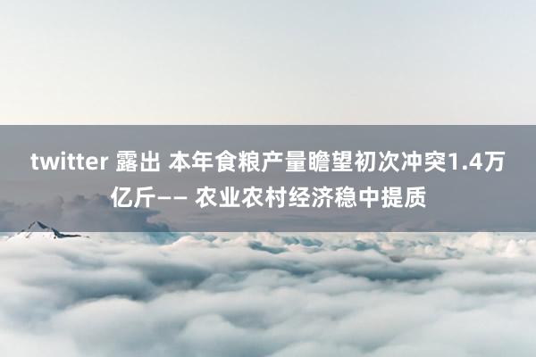 twitter 露出 本年食粮产量瞻望初次冲突1.4万亿斤—— 农业农村经济稳中提质