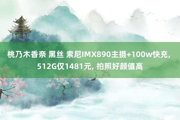 桃乃木香奈 黑丝 索尼IMX890主摄+100w快充， 512G仅1481元， 拍照好颜值高