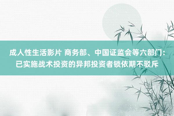 成人性生活影片 商务部、中国证监会等六部门：已实施战术投资的异邦投资者锁依期不驳斥