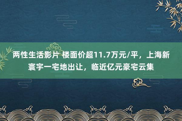 两性生活影片 楼面价超11.7万元/平，上海新寰宇一宅地出让，临近亿元豪宅云集