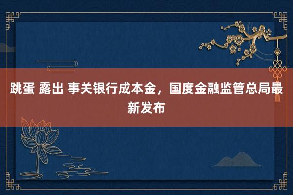 跳蛋 露出 事关银行成本金，国度金融监管总局最新发布