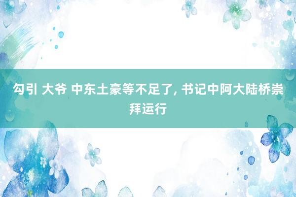 勾引 大爷 中东土豪等不足了， 书记中阿大陆桥崇拜运行