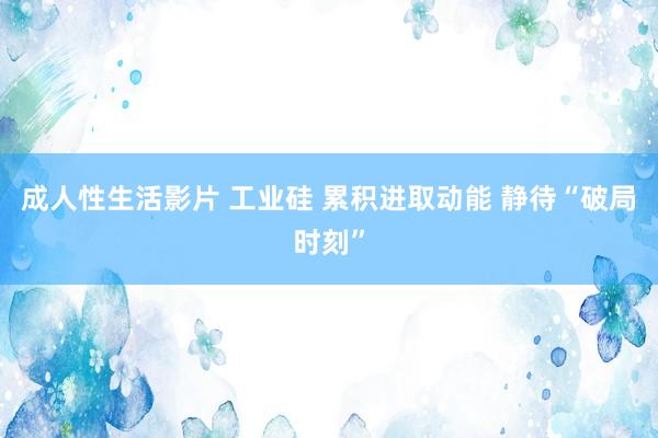 成人性生活影片 工业硅 累积进取动能 静待“破局时刻”