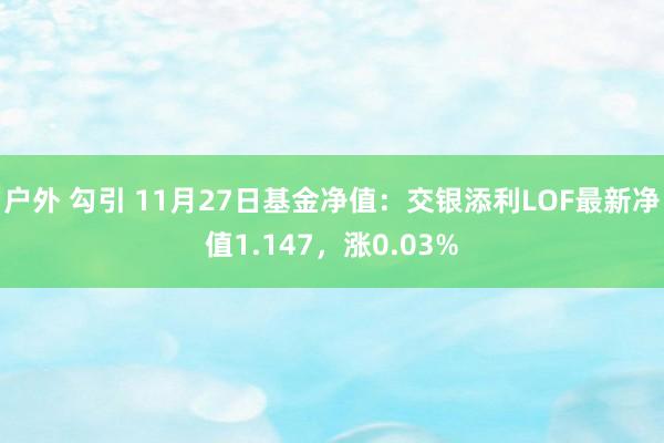 户外 勾引 11月27日基金净值：交银添利LOF最新净值1.147，涨0.03%