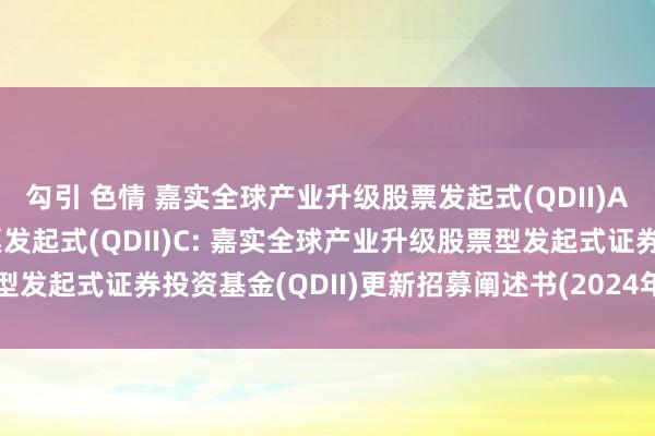 勾引 色情 嘉实全球产业升级股票发起式(QDII)A，嘉实全球产业升级股票发起式(QDII)C: 嘉实全球产业升级股票型发起式证券投资基金(QDII)更新招募阐述书(2024年12月03日更新)