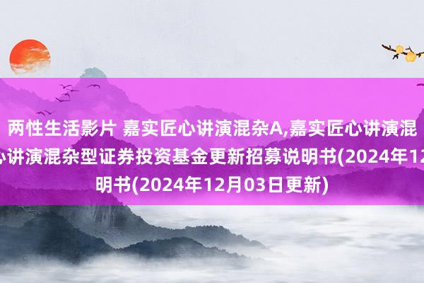 两性生活影片 嘉实匠心讲演混杂A，嘉实匠心讲演混杂C: 嘉实匠心讲演混杂型证券投资基金更新招募说明书(2024年12月03日更新)