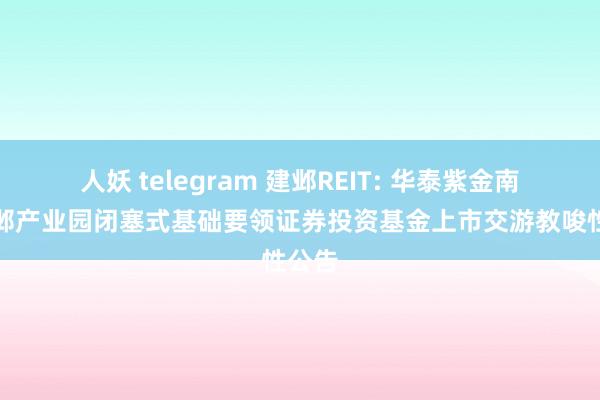 人妖 telegram 建邺REIT: 华泰紫金南京建邺产业园闭塞式基础要领证券投资基金上市交游教唆性公告