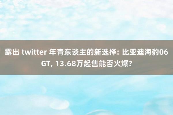 露出 twitter 年青东谈主的新选择: 比亚迪海豹06GT， 13.68万起售能否火爆?