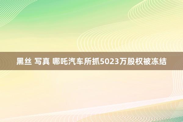 黑丝 写真 哪吒汽车所抓5023万股权被冻结