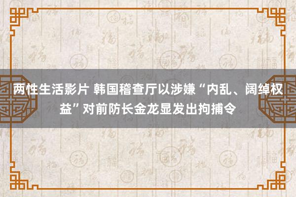 两性生活影片 韩国稽查厅以涉嫌“内乱、阔绰权益”对前防长金龙显发出拘捕令