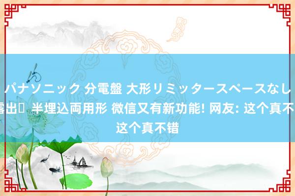 パナソニック 分電盤 大形リミッタースペースなし 露出・半埋込両用形 微信又有新功能! 网友: 这个真不错