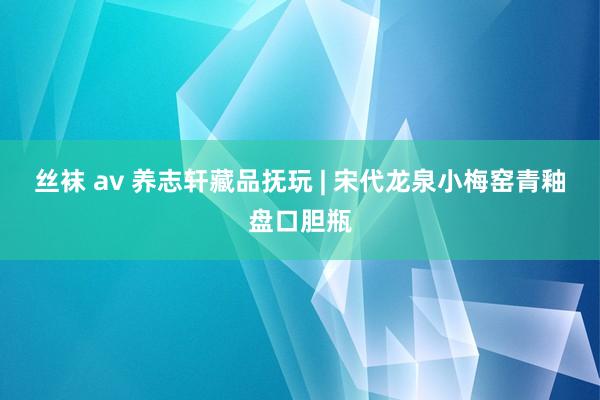 丝袜 av 养志轩藏品抚玩 | 宋代龙泉小梅窑青釉盘口胆瓶