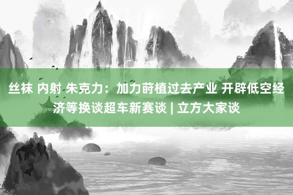 丝袜 内射 朱克力：加力莳植过去产业 开辟低空经济等换谈超车新赛谈 | 立方大家谈