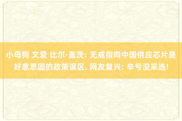 小母狗 文爱 比尔·盖茨: 无戒指向中国供应芯片是好意思国的政策误区， 网友复兴: 辛亏没采选!